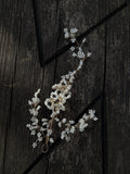 Alice Bridal Hair Vine | Handmade Freshwater Pearl & Swarovski Crystal Wedding Headpiece