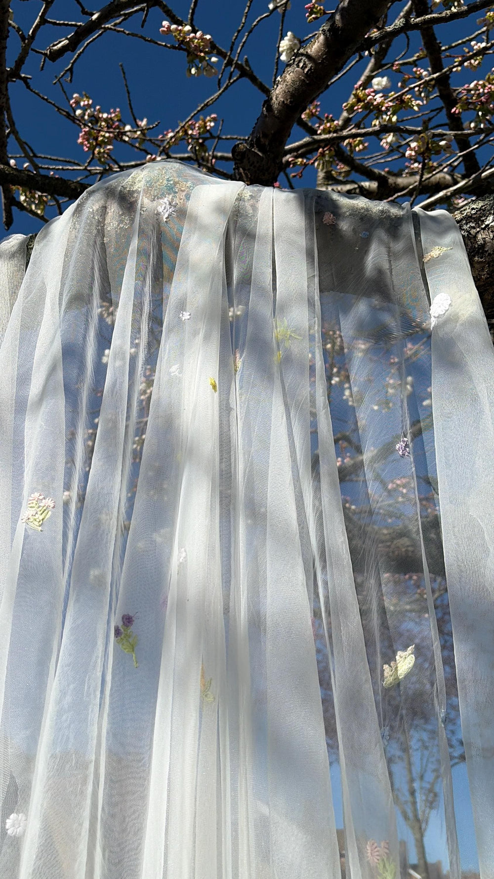 Vera Veil